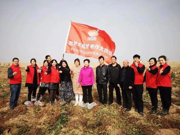 11月12日，眾人翹首以盼的太極莊山藥采挖活動在太極莊公司的溫縣·富硒鐵棍山藥標準化種植基地拉開帷幕